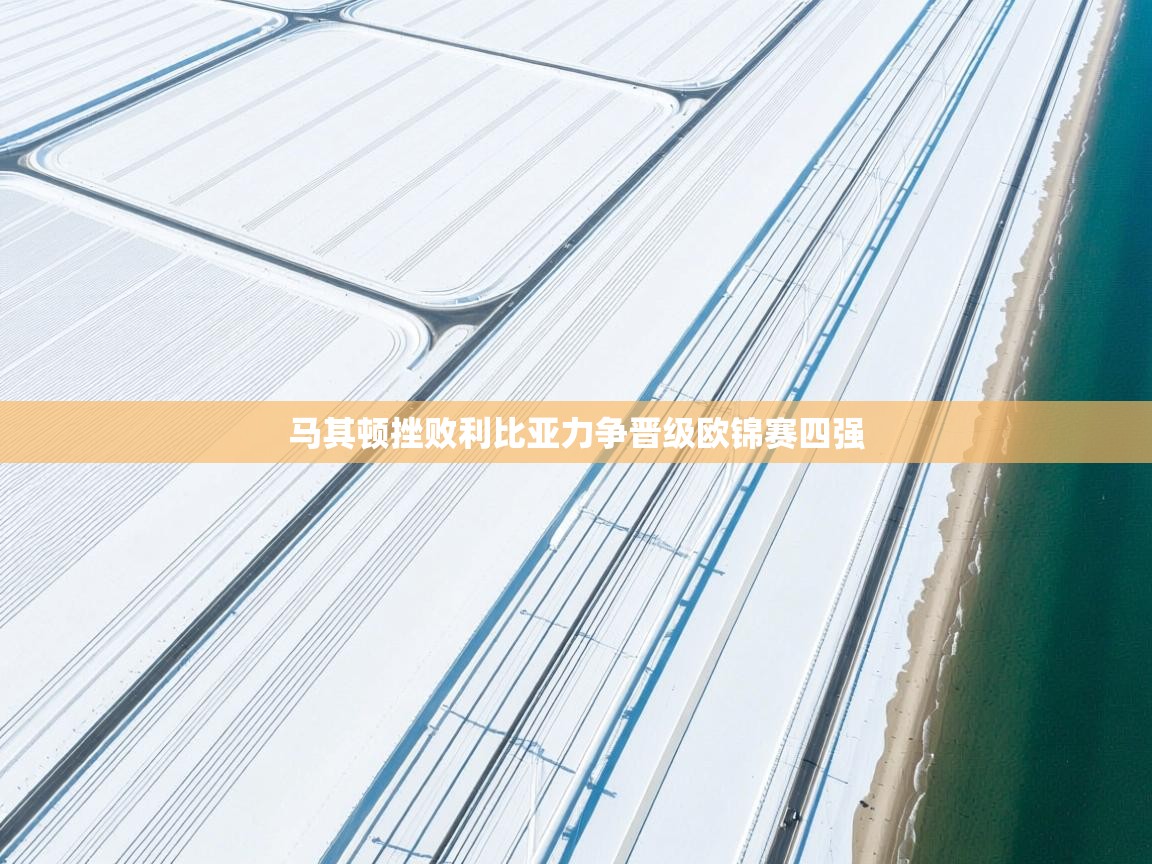 马其顿挫败利比亚力争晋级欧锦赛四强  第1张