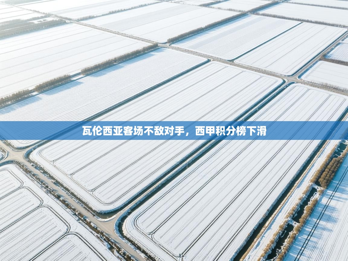 瓦伦西亚客场不敌对手，西甲积分榜下滑  第1张