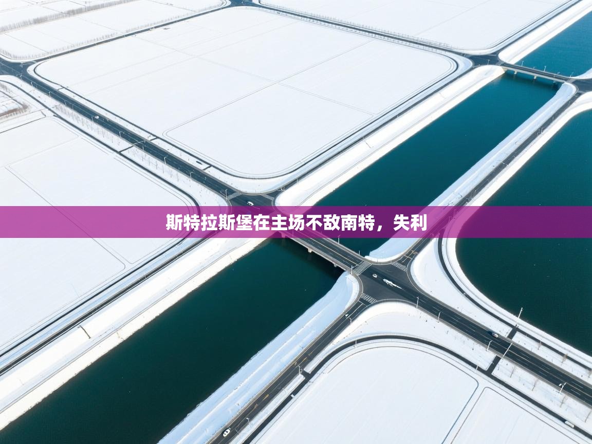 斯特拉斯堡在主场不敌南特，失利