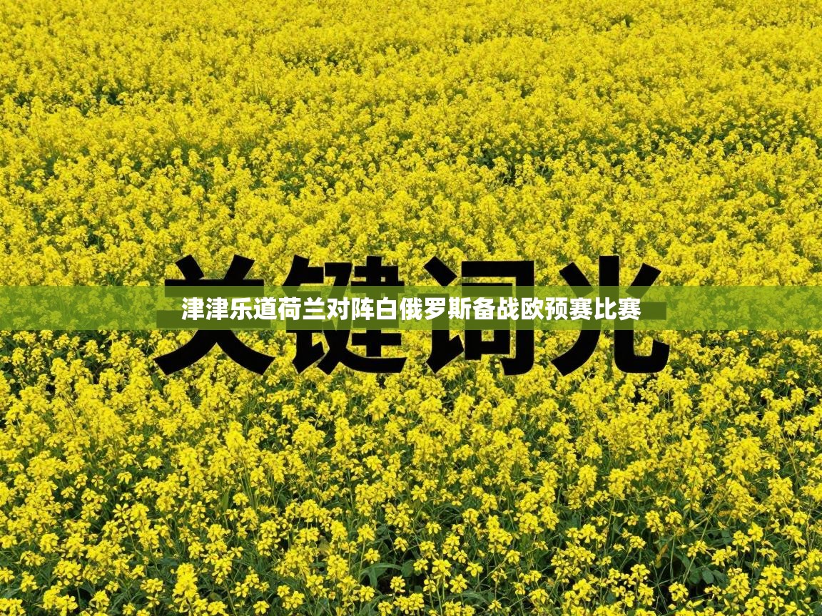 津津乐道荷兰对阵白俄罗斯备战欧预赛比赛  第2张